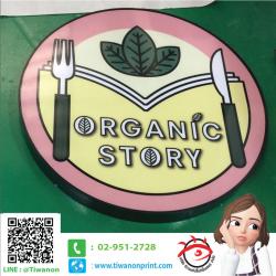 กล่องไฟ งาน ORGANIC STORY