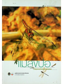 แมลงปอ ป่าชุมชนบ้านแม่คาวหลวง