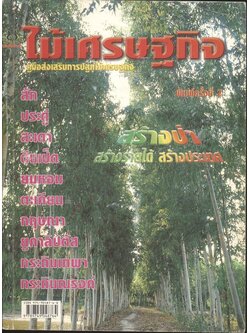 ไม้เศรษฐกิจ