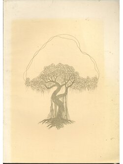 การดูแลผู้สูงอายุ/การขับถ่าย/การออกกำลังกาย อนุสรณ์ พระราชทานเพลิงศพ จรูญ ธนะสังข์