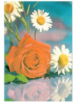 โปสการ์ดเก่า