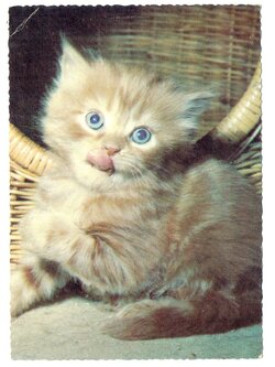 โปสการ์ดเก่า