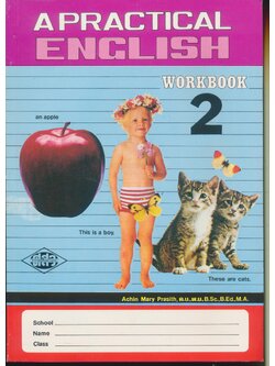 APRACTICAL ENGLISH WORKBOOK 2