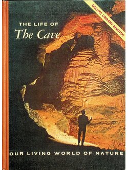 The Life of the Cave