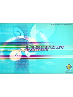 strategic structure assignment