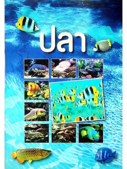 สมุดบันทึกเรื่อง ปลา