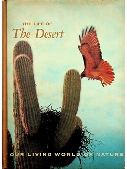 The Life of the Desert
