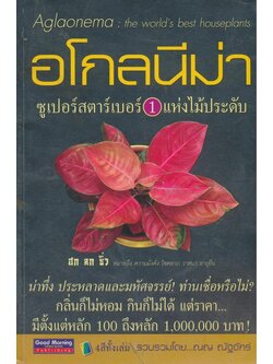 อโกลนีม่าซูเปอร์สตาร์เบอร์ 1.แห่งไม้ประดับ