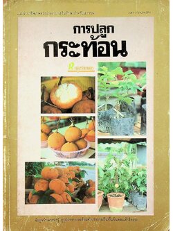 การปลูกกระท้อน