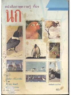 หนังสือภาพความรู้ เรื่อง นก โดย ตัณติมา ประภาวิชัย