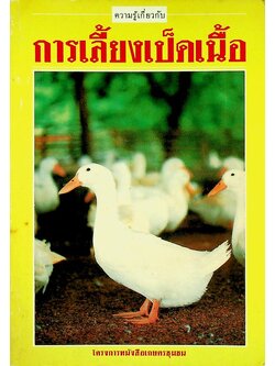 การเลี้ยงเป็ดเนื้อ