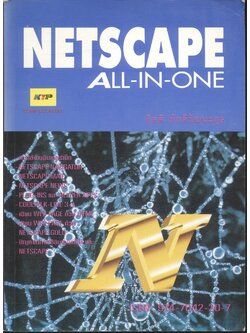 NETSCAPE ALL-IN-ONE