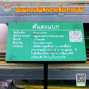 ป้ายแจ้งเตือน งานพิมพ์ป้ายบอกตำแหน่ง งานพิมพ์ป้ายคอมโพสิตปักชื่อต้นไม้ "คำว่า ต้นตะแบก "
