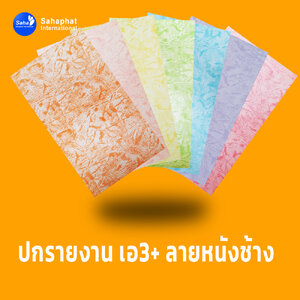 ปกเอ3+ ลายหนังช้าง