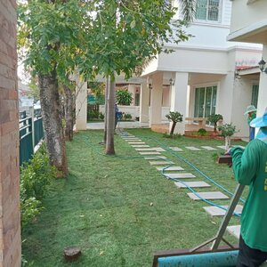 หญ้า ปู สนาม อำเภอเมืองหนองบัวลำภู0852094218