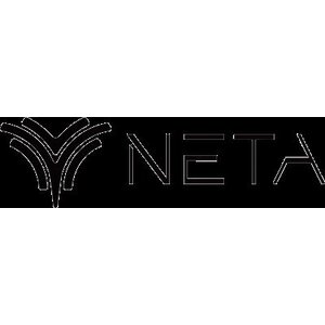 พรมปูพื้นรถยนต์ NETA - NETA V
