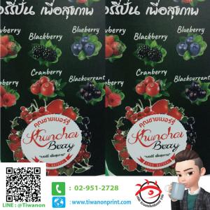 งานพิมพ์ งาน เครื่งปั่นเพื่อสุขภาพ