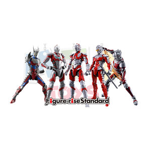 FIGURE-RISE STANDARD