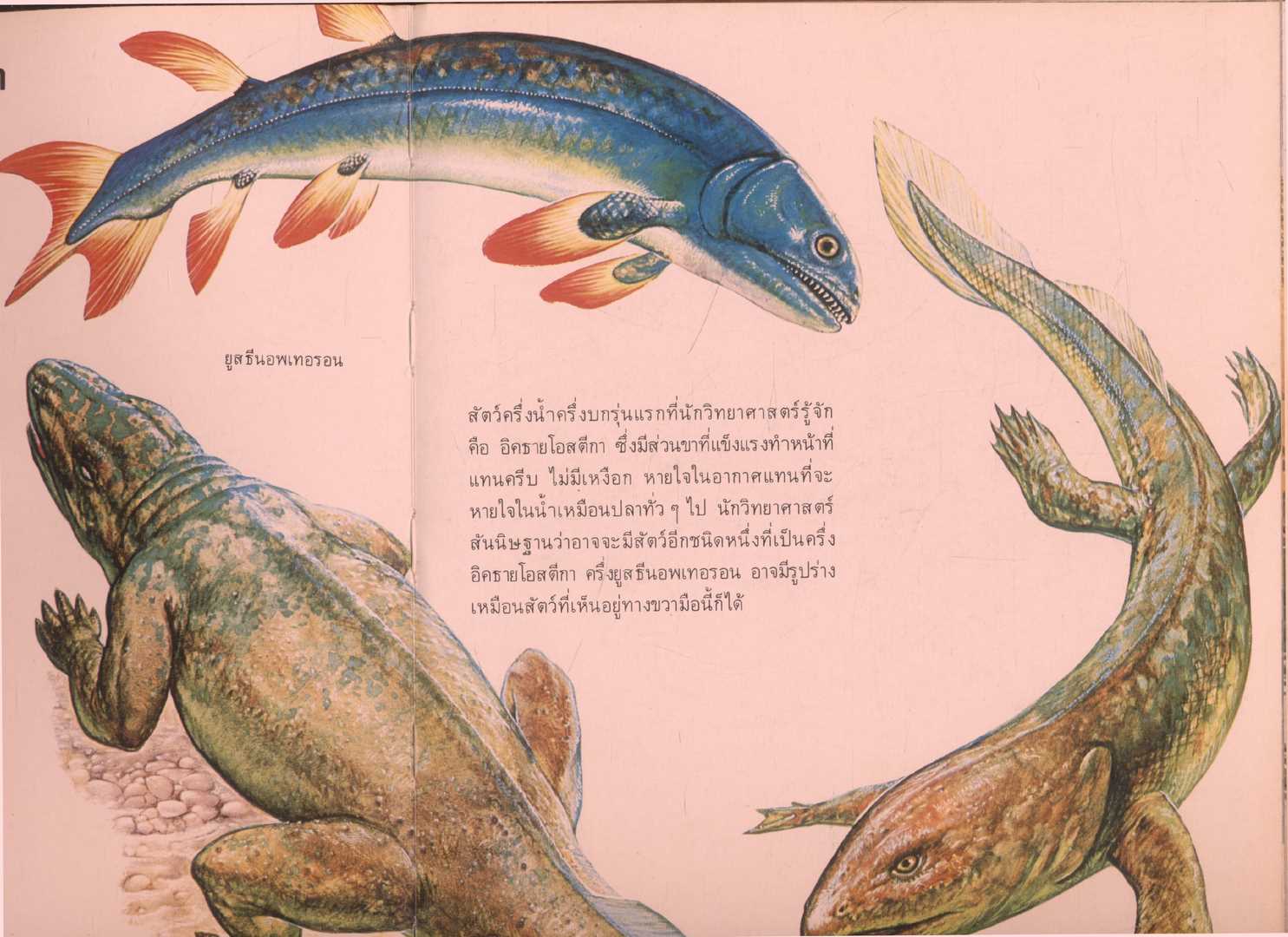 สารานุกรมเยาวชน นานาความรู้ชุดที่ 1 โลกดึกดำบรรพ์