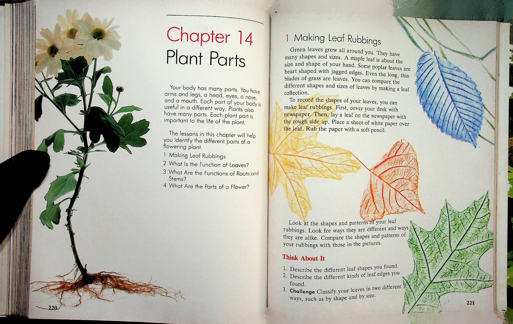 Scott, Foresman Science