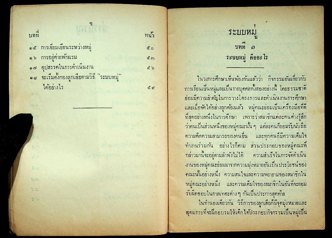 ระบบหมู่