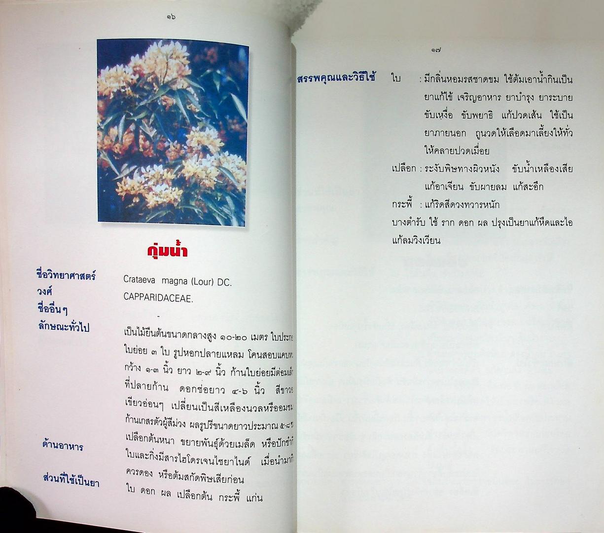 คู่มือสมุนไพรในวัด เล่ม ๕