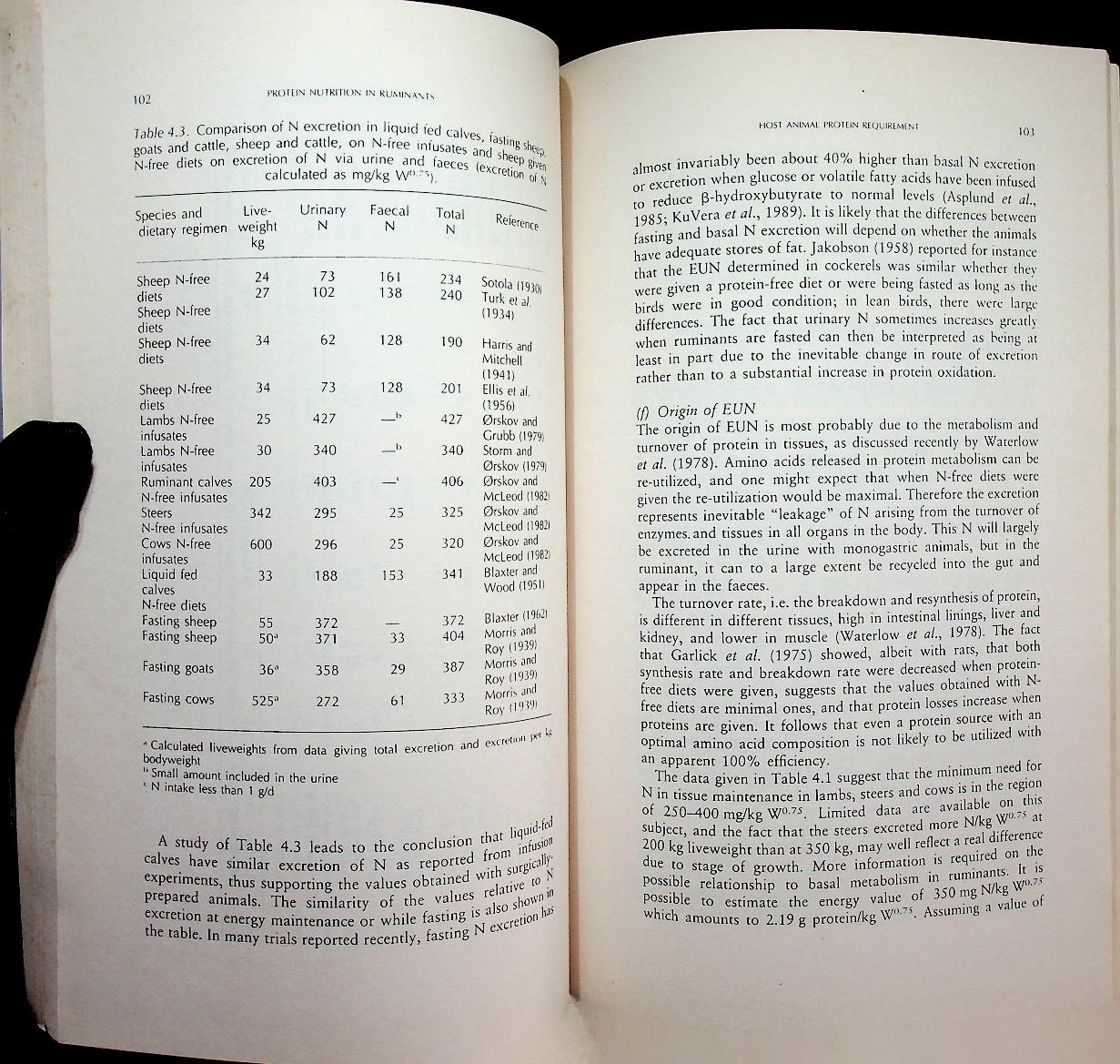 Protein Nutrition in Ruminants