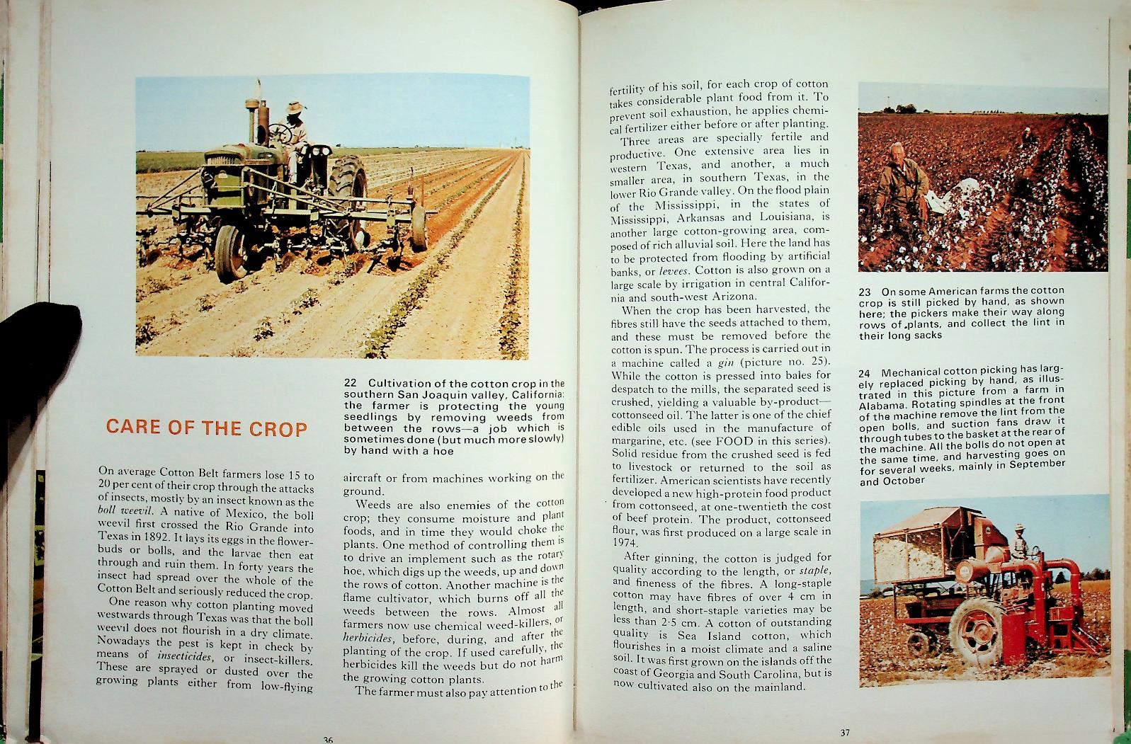 MAN AND HIS WORLD : CLOTHING