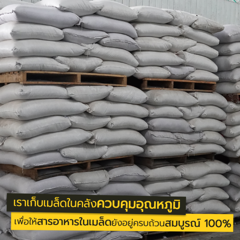 เมล็ดอาหารสัตว์ ทานตะวัน (อาหารนก และ สัตว์ฟันแทะ) SUPERTOP | 1 KG.