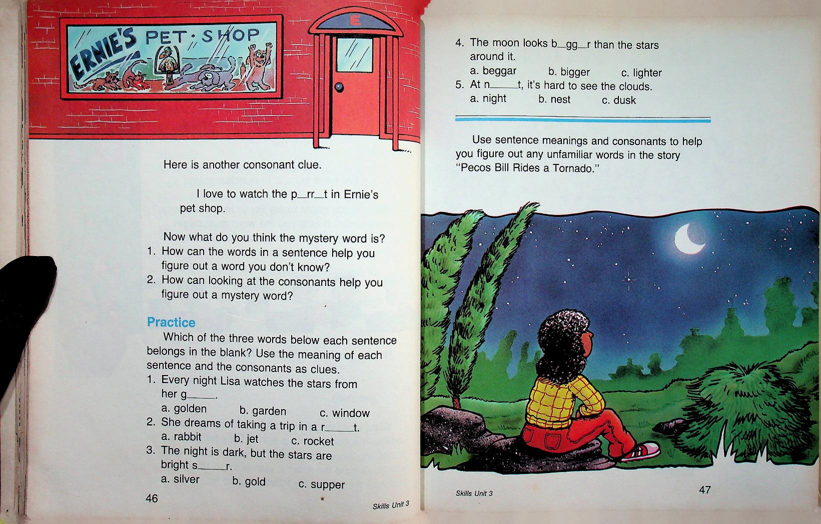 Scott, Foresman Reading : Hidden Wonders