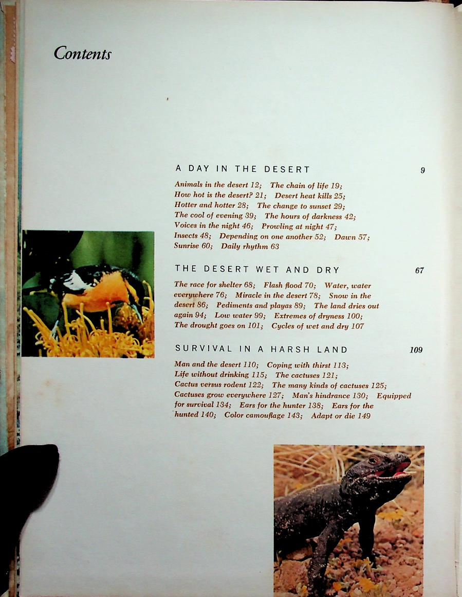 The Life of the Desert