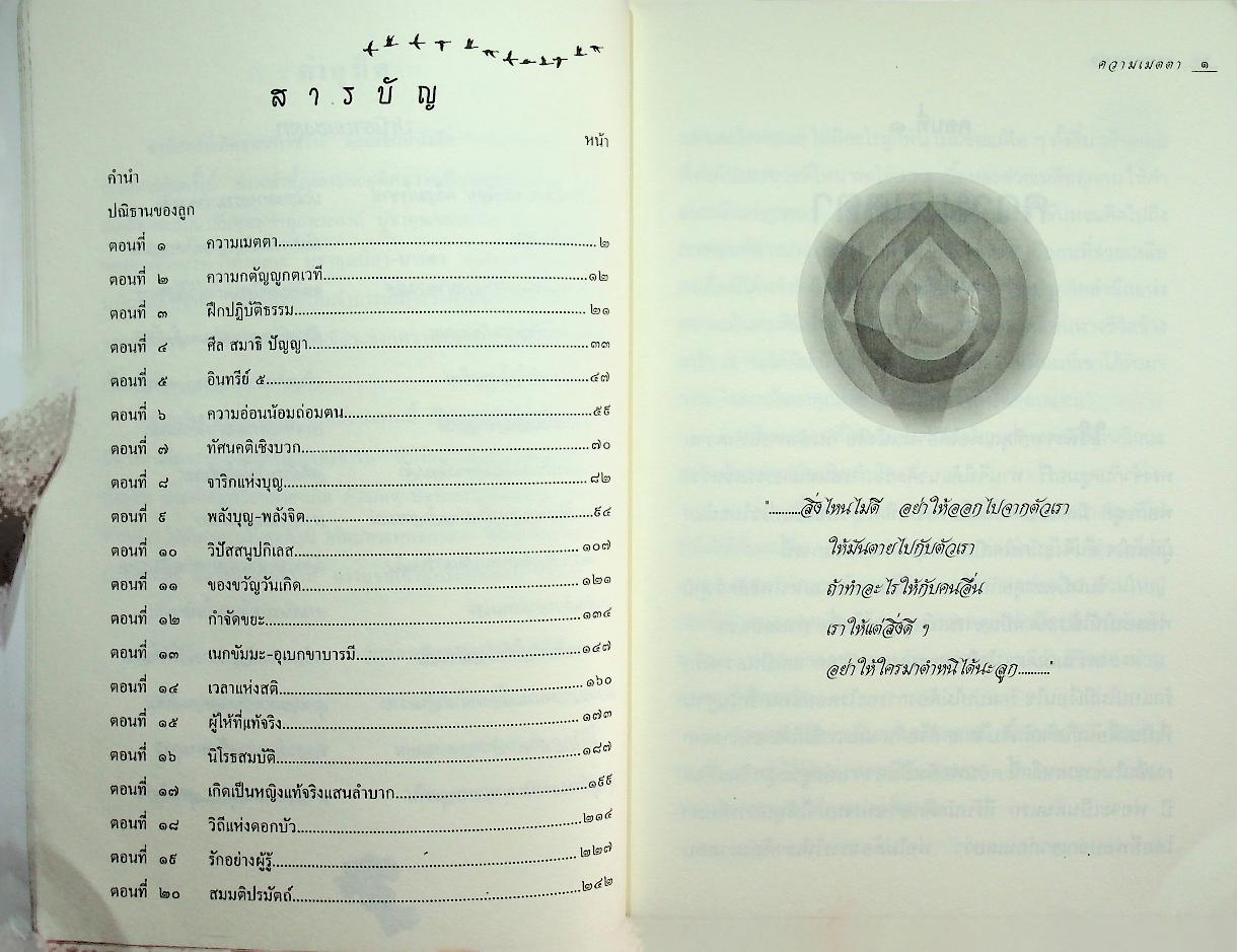 บันทึกสนทนาธรรม : ตามรอยพ่อ