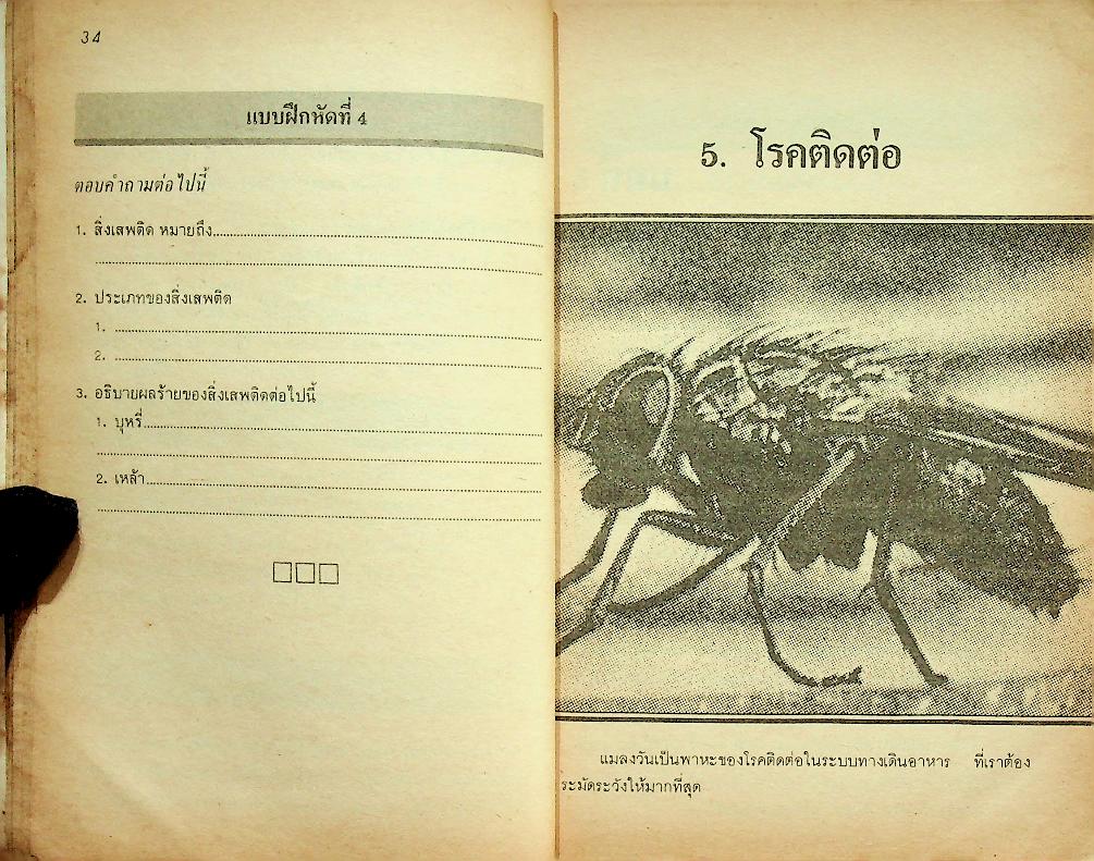กลุ่มสร้างเสริมประสบการณ์ชีวิต วิชา วิทยาศาสตร์ ป.5 ป.6