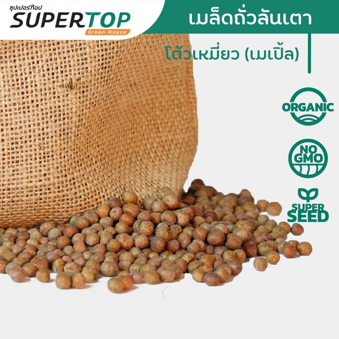 เมล็ดเพาะต้นอ่อน โต้วเหมี่ยว พันธุ์เมเปิ้ล (Pea Maple Microgreen) SUPERTOP ขนาด 1 KG.