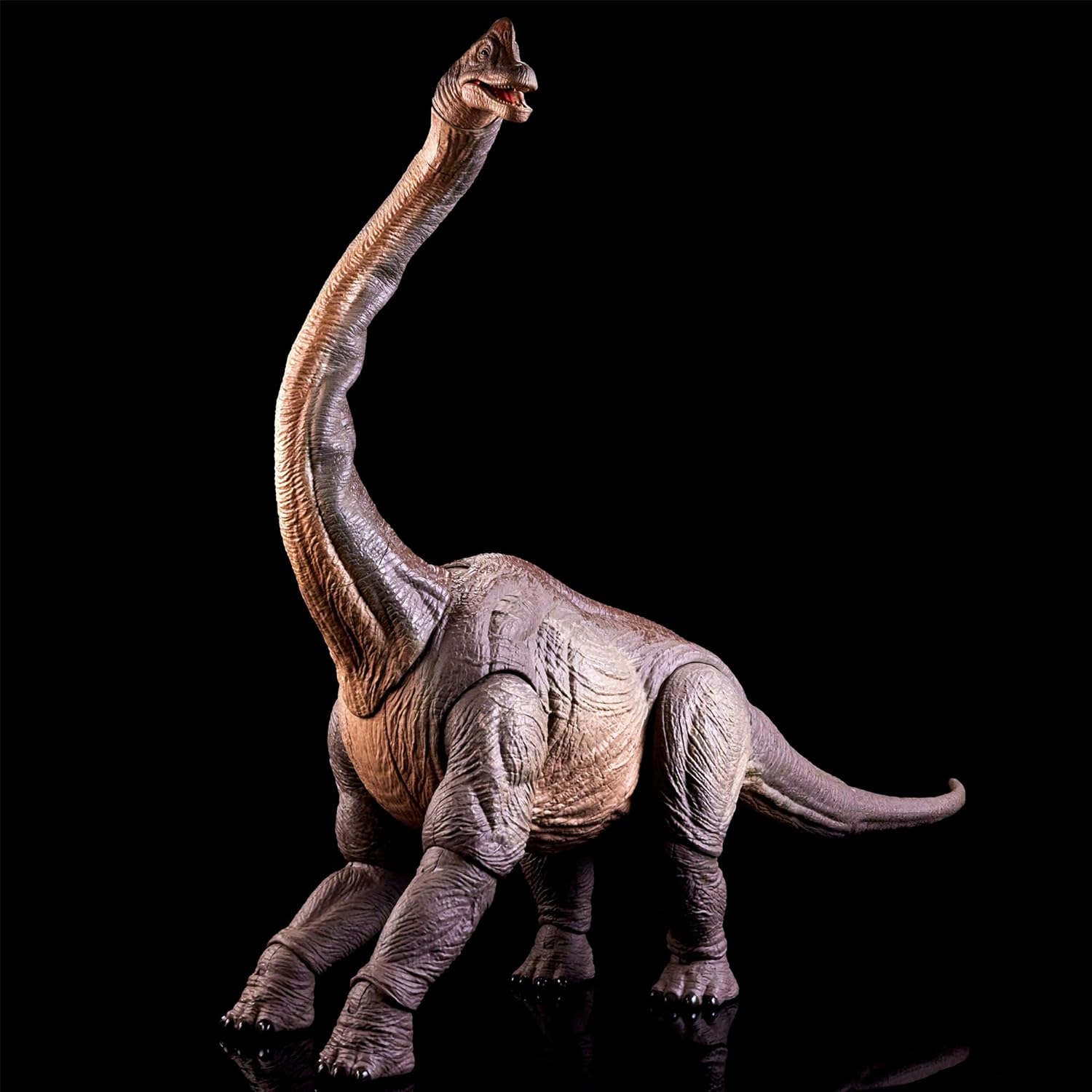 **MTS Toys**Mattel Jurassic World Hammond Collection : HNY77 Brachiosaurus [ความสูงจากหัวถึงเท้า 69 ซ.ม.]