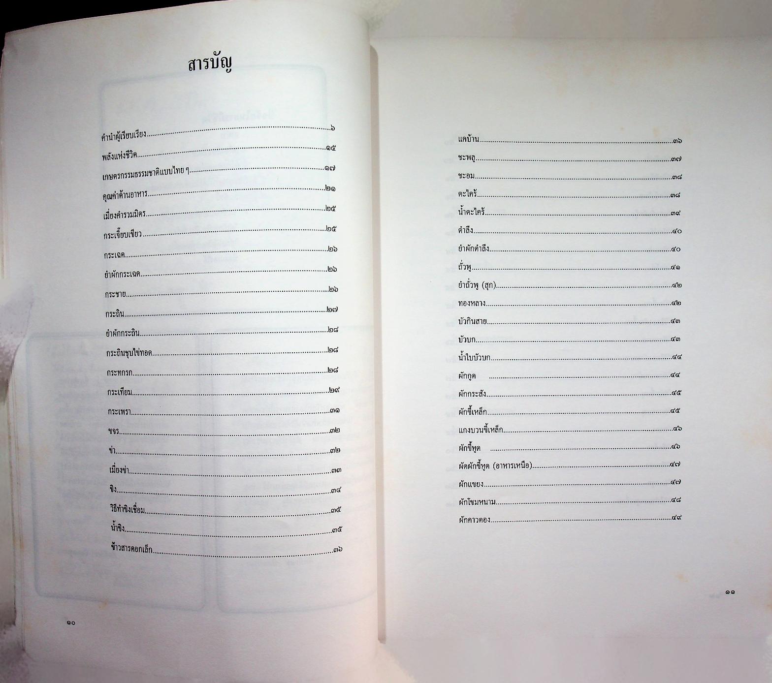 เกษตรกรรมธรรมชาติแบบไทยๆ : ผักบ้านเรา