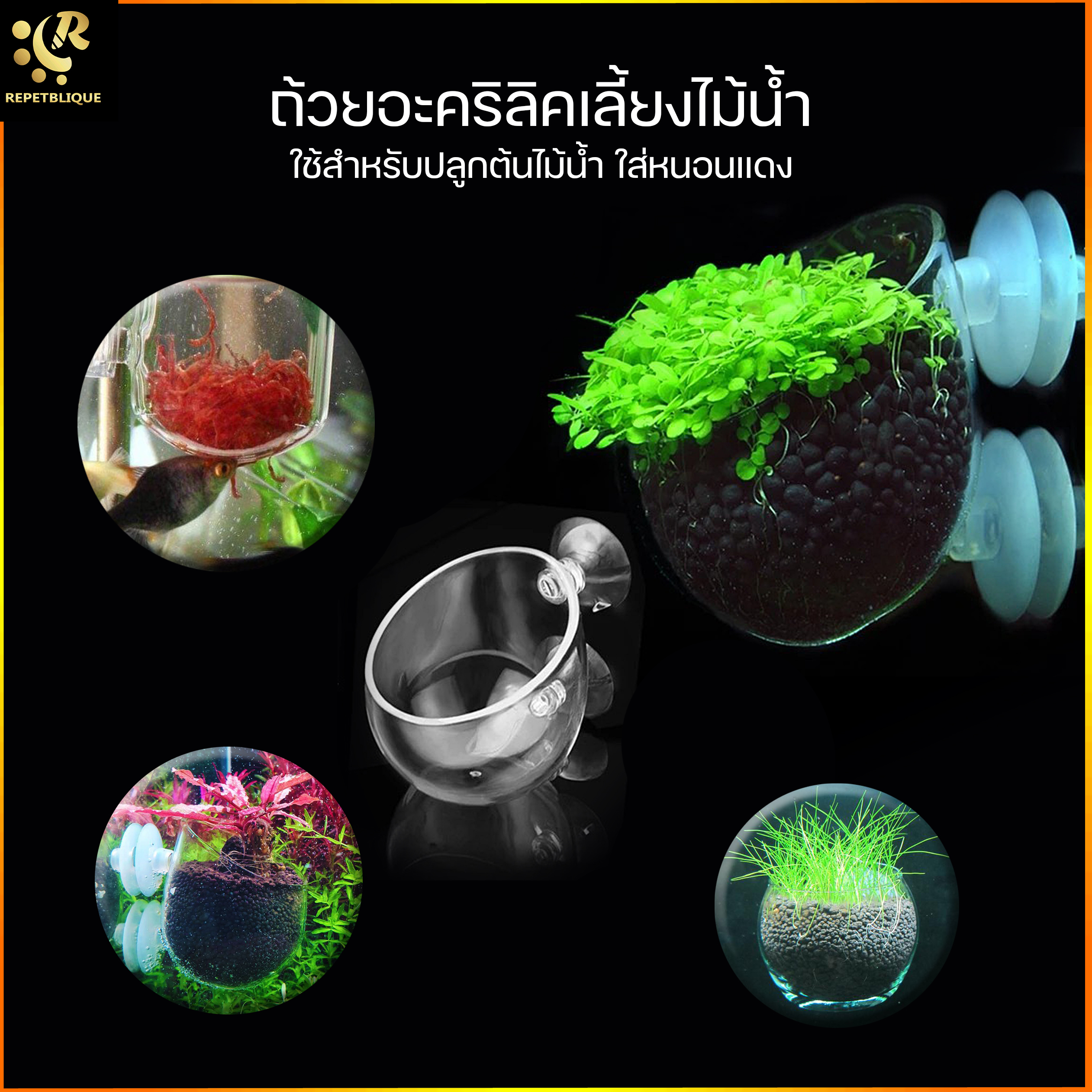 Acrylic Cup กระถางต้นไม้ ถ้วยเลี้ยงไม้น้ำ ใส่หนอนแดง มีจุกยึดติดกระจก ไม้น้ำ ปลูกต้นไม้ ถ้วยเพาะปลูกต้นไม้ ตู้ไม้น้ำ ตู้ปลา ถ้วยอะคริลิค
