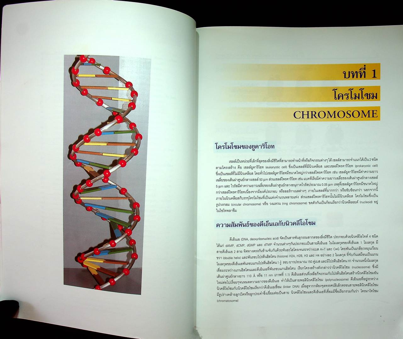 ชีววิทยา 3