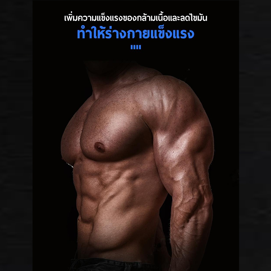 เบาะซิทอัพ เก้าอี้ซิทอัพ เครื่องออกกําลังกายลดหน้าท้อง เครื่องช่วยซิทอัพ เครื่องsit up เครื่องซิทอัพหน้าท้อง ม้าซิทอัพ รุ่น Fit-009