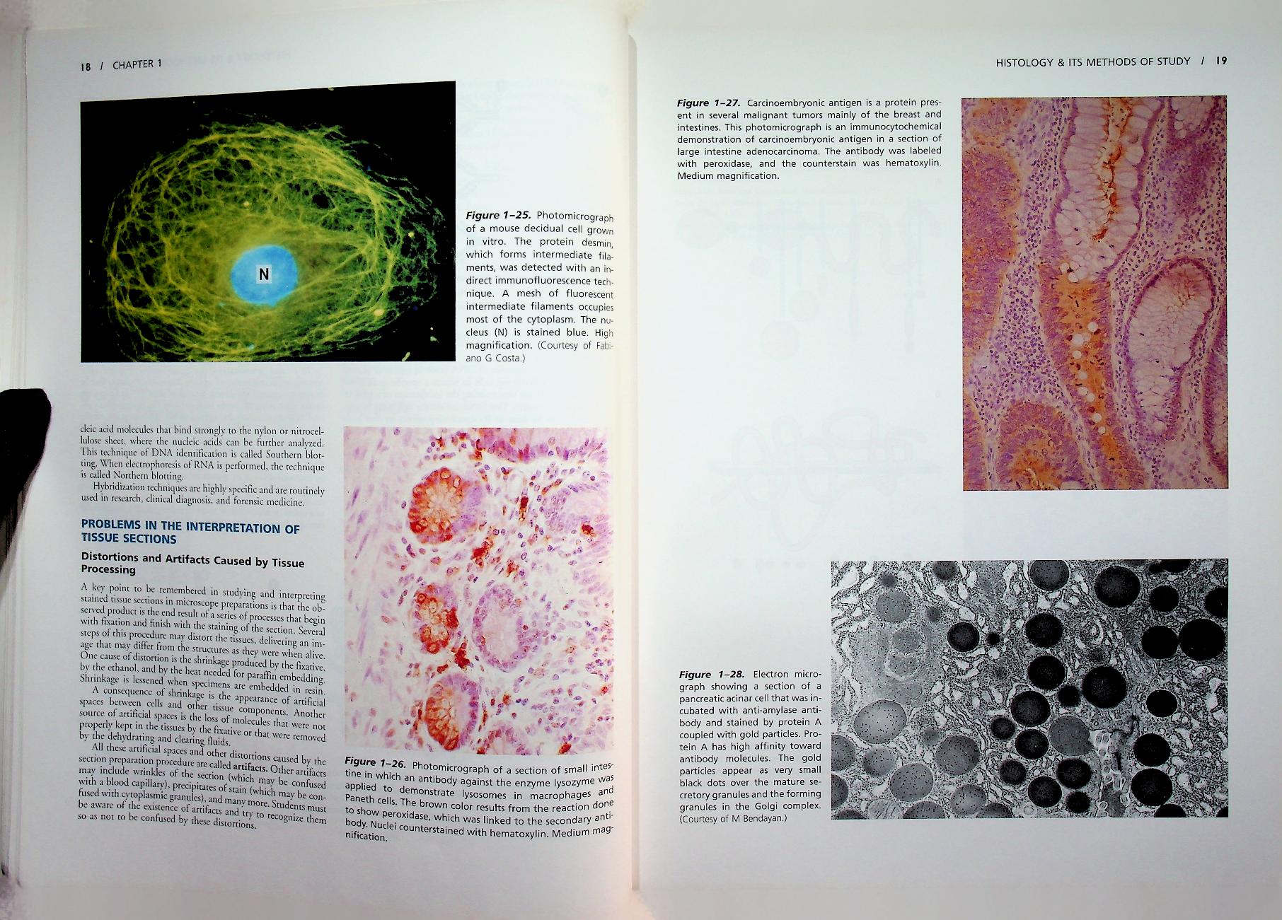 basic histology TEXT & ATLAS