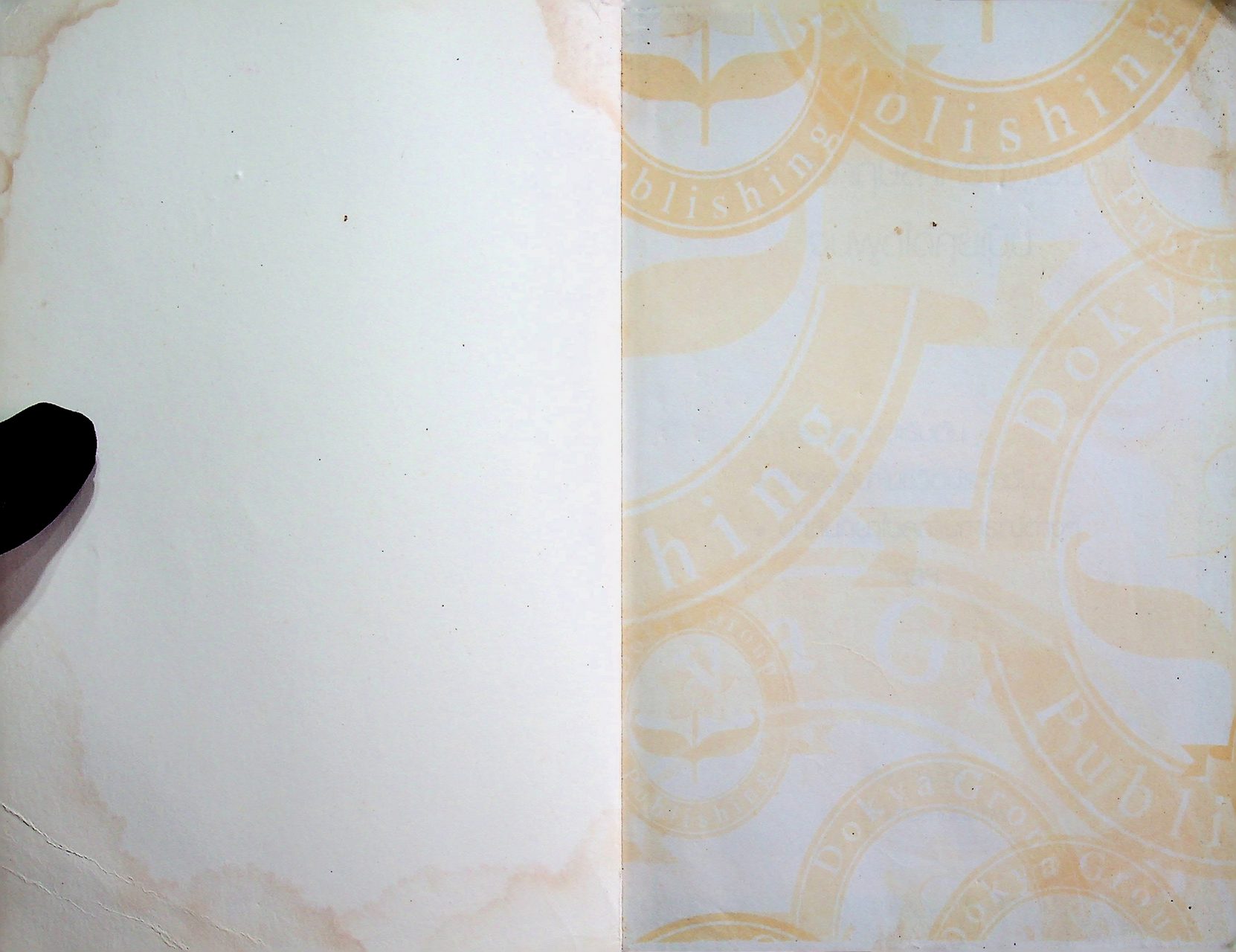 ภาษาอังกฤษ สำหรับผู้เริ่มต้น : จนพูดได้คุยเป็น