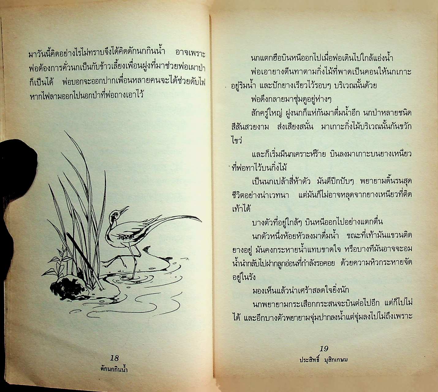 ชีวิตบ้านป่า