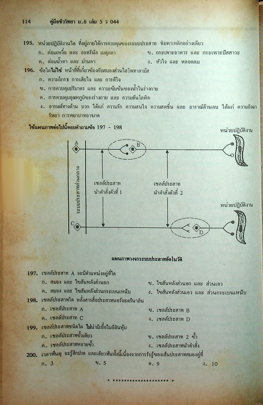 คู่มือเตรียมสอบ ชีววิทยา ม.6 เล่ม 5 ว 044