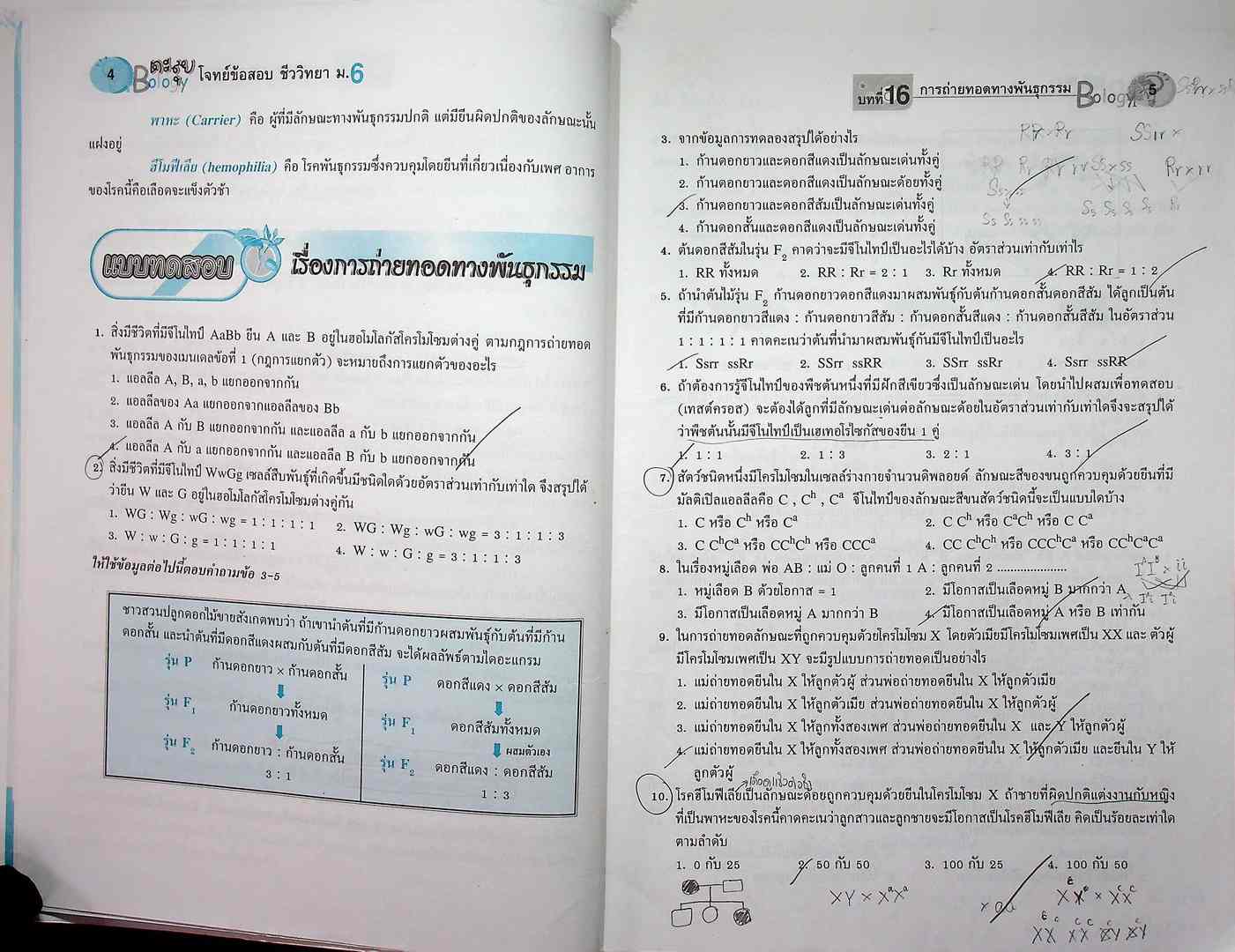 ตะลุยโจทย์ข้อสอบ ชีววิทยา ม.6 เล่มรวม 5-6