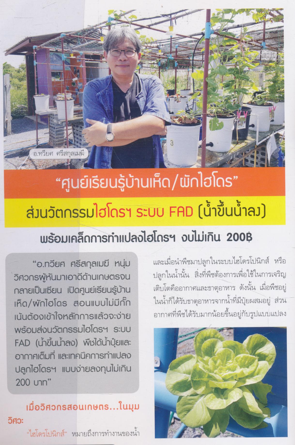 ผักไฮโดรโปนิกส์ (ฉบับชาวบ้าน)