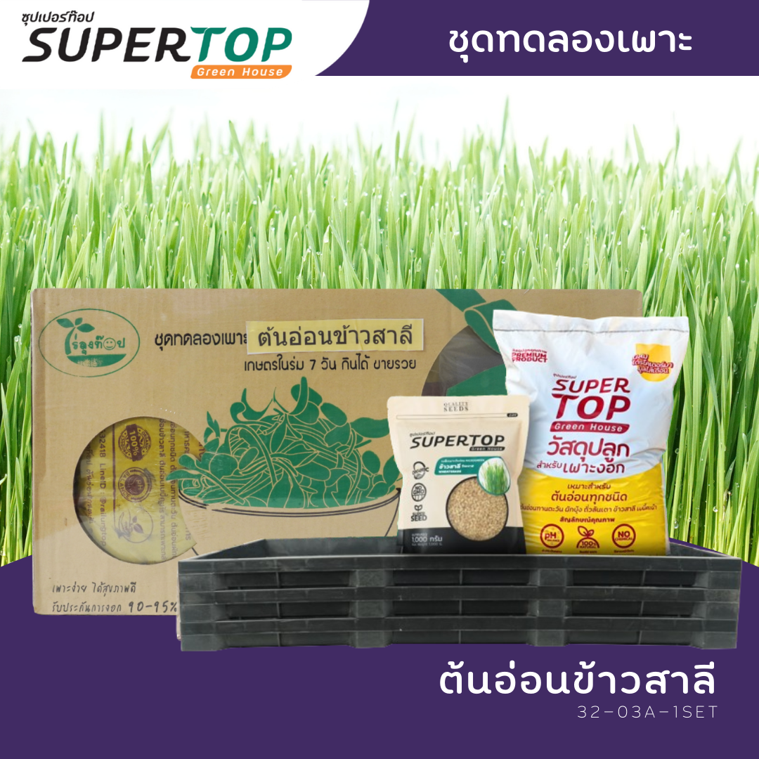 ชุดทดลองเพาะต้นอ่อน (แบบใช้ดิน) SUPERTOP Planting Kit Microgreen