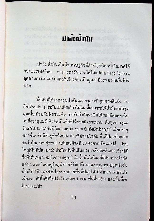 ปาล์มน้ำมัน พืชเศรษฐกิจสร้างรายได้สูงทั้งในปัจจุบันและอนาคต