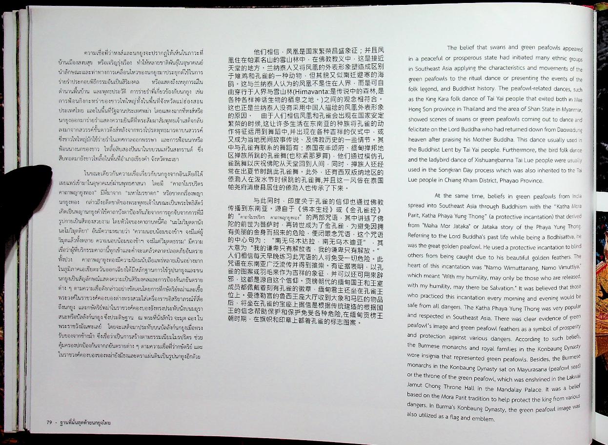 ฐานที่มั่นสุดท้ายนกยูงไทย