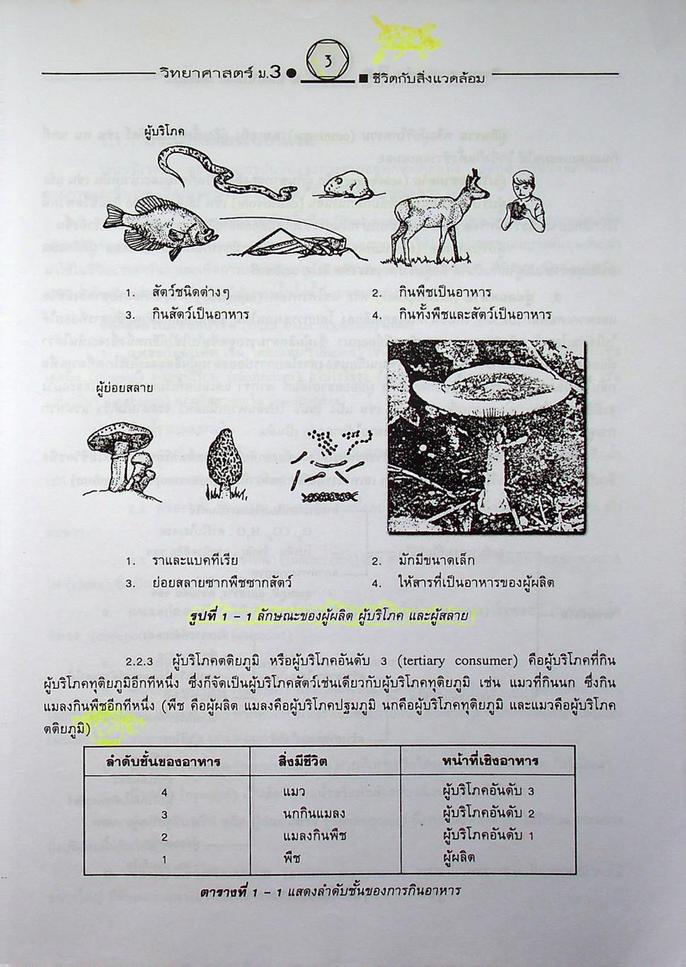 คู่มือเตรียมสอบสาระการเรียนรู้พื้นฐาน วิทยาศาสตร์ ม.3 ชีวิตกับสิ่งแวดล้อม สิ่งมีชีวิตกับกระบวนการดำรงชีวิต