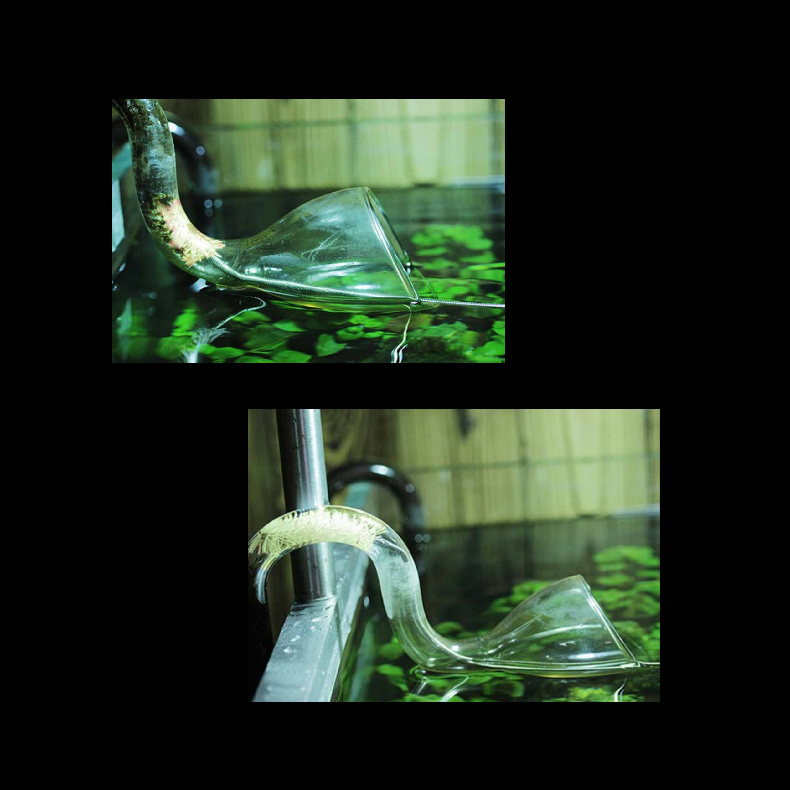 Hose cleaner แปรงขัดสายยาง 1.5 เมตร แปรงล้างท่อ ล้างสายยาง ล้างเครื่องแก้วไม้น้ำ ตู้ไม้น้ำ ขัดท่อ แปรงสปริง Tube Cleaning Brush Stainless Flexible Cleaning Brush